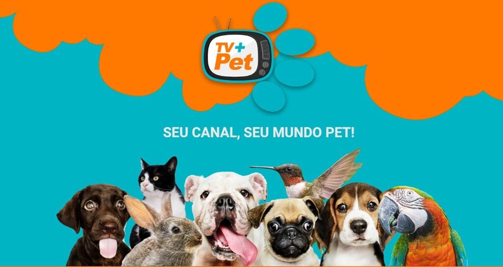 Tv Mais Pet - Financial Connection